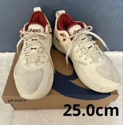 asics バスケットボールシューズ　25.0cm