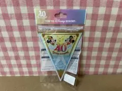 東京ディズニーリゾート 40周年 ドリーム ガーランド
