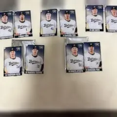 オリックスバッファローズアクリルカード10個