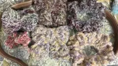 【匿名配送　セット割引きあり】 シュシュ まとめ売り (151)