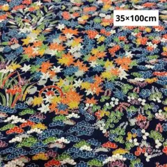 Item thumbnail for item e447b43c-073f-4e1e-8a6f-92ccd54f75ef