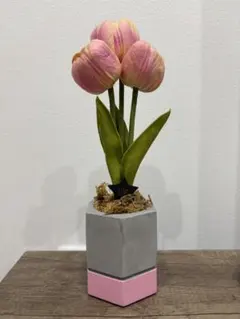 チューリップライト