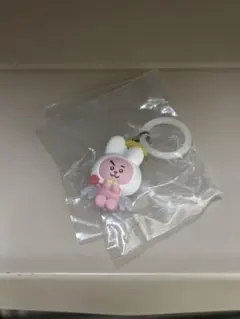 BT21めじるしアクセサリー　COOKY