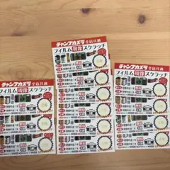 チャンプカメラ フィルム現像スクラッチ 13枚セット