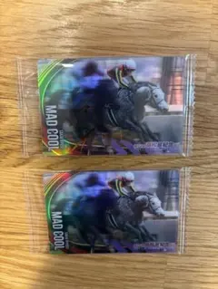 【サイン入】サラブレッドホースコレクション　マッドクール