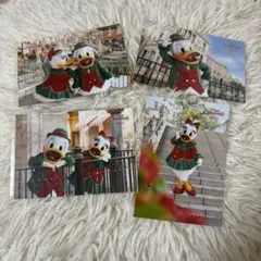 ディズニー　パーフェクトクリスマス　スペフォ　スペシャルフォト　2023