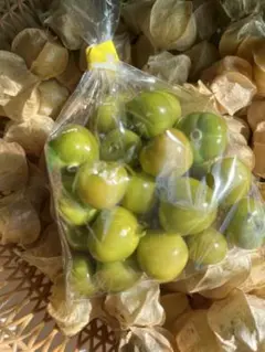 2025年最新】フルーツホオズキの人気アイテム - メルカリ