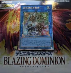 レリーフ　遊戯王OCG　四花繚乱の霊使い
