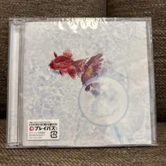 アスター KANA-BOON