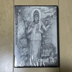 PULLING TEETH DVD count 10 未開封新品 COCOBAT