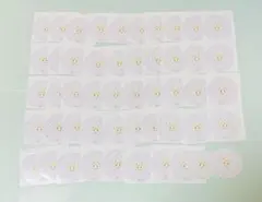 キミとアイドルプリキュア　プリルン　 カンバッジグー
