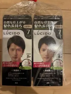 LUCIDO ワンプッシュケアカラー 7 ナチュラルブラック 2個セットのサムネイル