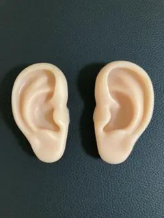 Item thumbnail for item efa8ce13-ebc8-4544-826d-822a42d5b143