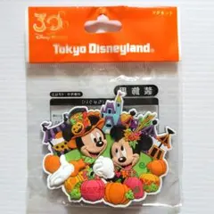 東京ディズニーランド＊ ディズニーハロウィン2013＊マグネット