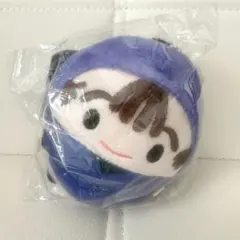 在庫ラスト❣️尾浜勘右衛門 竹谷八左ヱ門 忍たま乱太郎 ほわぬい ぬいぐるみ 2025年最新】尾浜勘右衛門 ぬいぐるみの人気アイテム - メルカリ