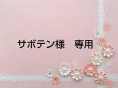 サボテン様　専用