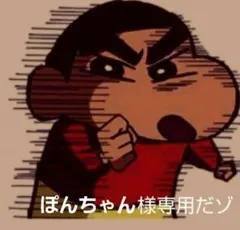 ぽんちゃん様 リクエスト 2点 まとめ商品