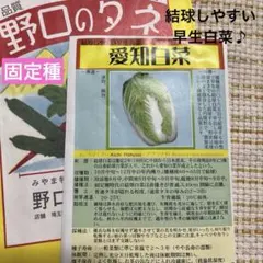 たいようのこ様 リクエスト 8点 まとめ商品