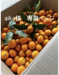 aika様専用ページ　　徳島県産　農薬不使用　金柑　3キロ