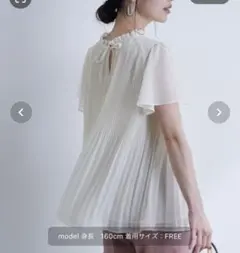 【マシンウォッシャブル】シフォンプリーツブラウス