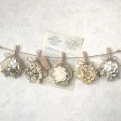 Item thumbnail for item 2154459f-b865-4333-9acb-478028e1b7bf