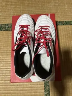 モナルシーダセレクト　29 インソールなし