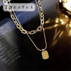 ２連 ドッグタグ風 ネックレス チェーン 重ね付け プレート コイン レトロ