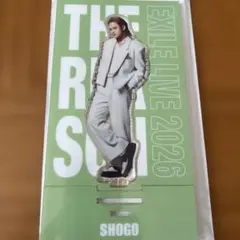 EXILE THE REASON アクスタ 岩谷翔吾