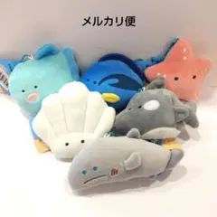 Item thumbnail for item c0967cf1-6b1a-4455-9f72-f8e1b1563122