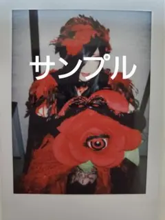 2025年最新】ASAGI チェキの人気アイテム - メルカリ