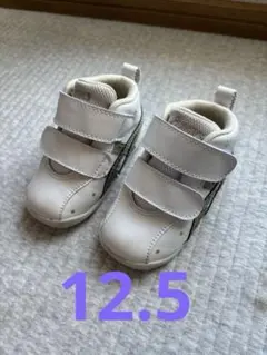 ASICS ファーストシューズ 12.5