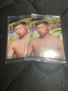 RIZINウエハースカード2024 YA-MAN