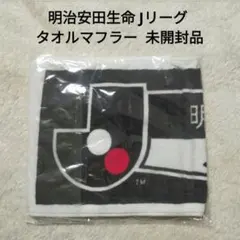 Item thumbnail for item 1a8e8a08-2540-422a-a6ba-786fb24d1614