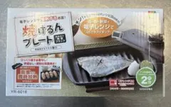 Item thumbnail for item 4c5b72ab-85f0-4db4-9ad5-dc7d253f1632