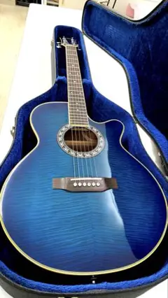 ★エレアコ★ Pro Martin custom EA-500W Pro Martin Acoustic-Electric Guitar Ea500W Vs Used From