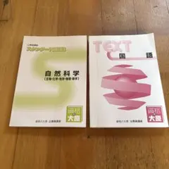 Item thumbnail for item aeaa32aa-5a21-4bcf-83b2-4bf612eca34d