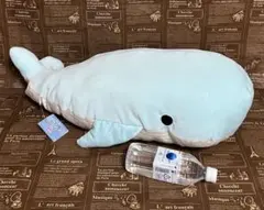 Item thumbnail for item 94093906-0254-42b8-abc7-e0f18dc6e8f0