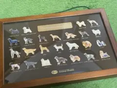 プレミアムピンバッジ 25種セット 2点セット 非売品 世界の犬