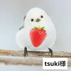 tsuki様 リクエスト 4点 まとめ商品