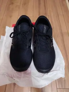 Item thumbnail for item a18da0a9-61c0-4d8c-8a5c-66eb3fcdcb92