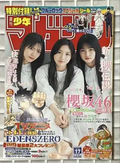 週刊少年マガジン 2022年 12号 新連載 ガチアクタ 日向坂46 - メルカリ