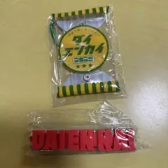 DAIENKAI 2025 グッズセット