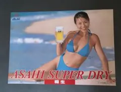 〇かとうれいこポスター B2 アサヒスーパードライ水着 - メルカリ