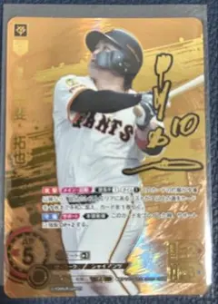 2025年最新】ssp ドリームオーダーの人気アイテム - メルカリ