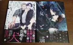 ★【2冊セット】黒井よだか☆魔女と猫/魔女の犬