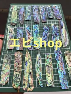 アワビ貝のスライス　20枚セット