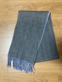 Item thumbnail for item de456259-3fbe-4f36-800b-d4b198604398