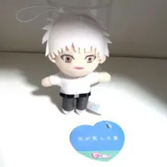 2025年最新】ヒカルが死んだ夏 ピコぬいの人気アイテム - メルカリ