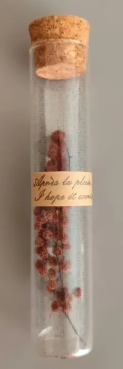 ドライフラワー インテリア　雑貨　置物