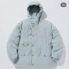 Item thumbnail for item d828265f-880c-491f-bba1-d4617058cb0a